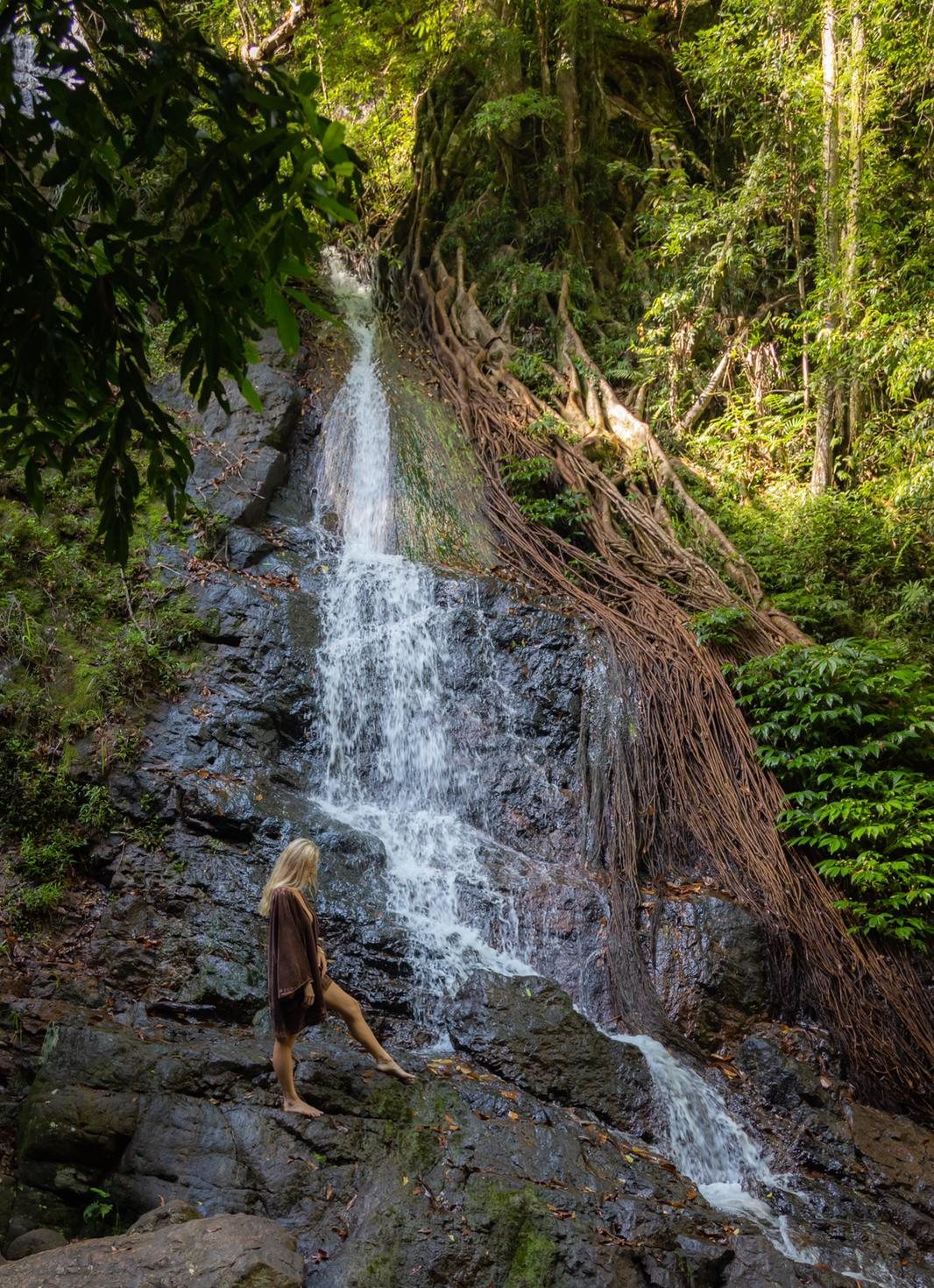 D’Arcy walking on the rocks beside a rainforest waterfall
